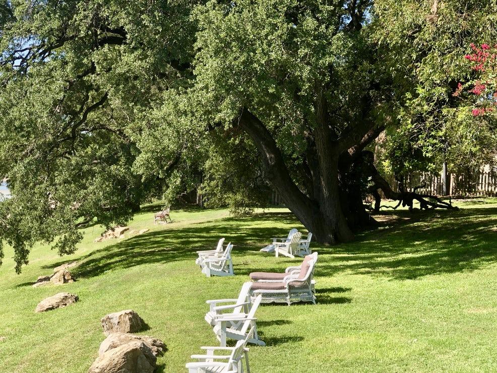 lawn chairs on a green lawn